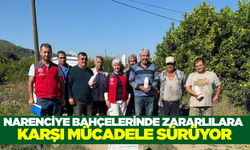 Muğla'da narenciyeyi koruma seferberliği başladı
