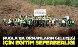 Muğla'da ormanlarda kapsamlı çalışma!