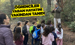 Minikler yaban hayatını keşfetti