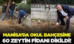 Manisa'da okul bahçesine zeytin fidanı dikimi gerçekleşti