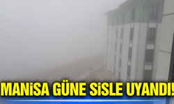 Manisa'da sis etkili oldu!