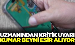 Sanal bahis ve kumar bir beyin hastalığıdır