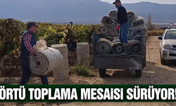 Sarıgöl bağlarında hummalı çalışma sürüyor!