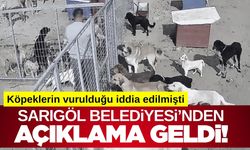 Sarıgöl Belediyesi’nden Sokak Köpeklerinin Toplanma Sürecine İlişkin Açıklama