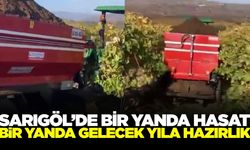 Sarıgöl'de bağlarda gelecek yılın çalışmaları başladı