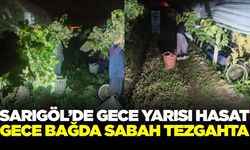 Sarıgöl bağlarında gece mesaisi! El feneriyle üzüm kesiliyor