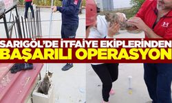 Sarıgöl'de itfaiyeden kedi kurtarma operasyonu