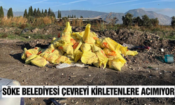 Çevreyi kirletenlere 675 bin TL ceza kesildi