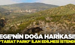 Ege'nin doğa harikası: Doğaseverler çağrıda bulundu!