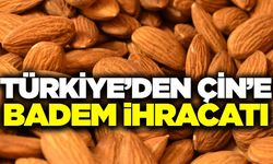 Anlaşmalar tamamlandı! Türkiye Çin'e satacak...