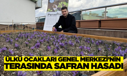 Ülkü Ocakları'ndan Anlamlı Proje!