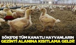 Aydın'da üreticilere uyarı!