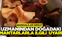 Manisa'da uzmanından mantar zehirlenmelerine karşı hayati uyarılar!