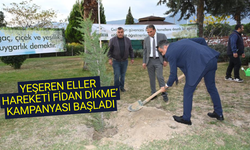 Denizli'de fidanlar toprakla buluşuyor