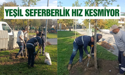 Yunusemre’de yeşil seferberlik hız kesmiyor!