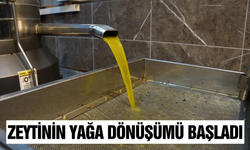 Fabrikalarda zeytinyağı mesaisi sürüyor