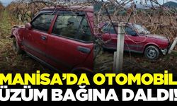 Alaşehir'de kontrolünü kaybeden otomobil üzüm bağına girdi