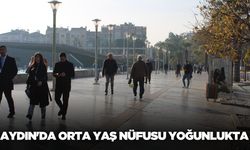 Aydın'ın nüfusunda en kalabalık yaş grubu belli oldu!