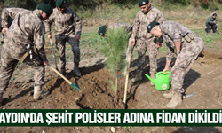 Aydın Emniyetinden 33 şehit polis anısına fidan dikimi etkinliği