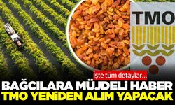 Kuru üzümde flaş gelişme: TMO yeniden alım başlatıyor