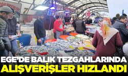 Afyonkarahisar'da hamsiye yoğun ilgi