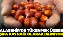 Bir zamanların vazgeçilmezi artık pazarda bile zor bulunuyor!