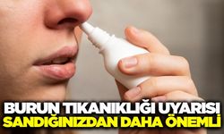 Burun tıkanıklığı basit bir kış şikayeti değildir