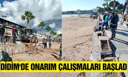 Didim'de onarım çalışmaları başladı