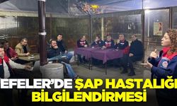 Aydın'da şap hastalığı bilgilendirmesi