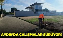 Aydın'da temizlik çalışmaları devam ediyor