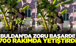 Buldanlı dokuma ustası zoru başardı: 700 rakımda muz hasadı yaptı