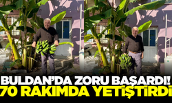 Buldanlı dokuma ustası zoru başardı: 70 rakımda muz hasadı yaptı