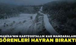 Manisa'dan kartpostallık kar manzaraları!