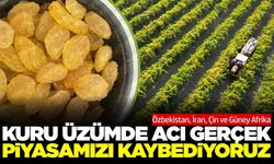 Kuru üzüm alarm veriyor: Piyasayı kaybediyoruz