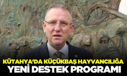 Kütahya'da hayvancılığa yeni destek programı