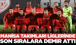 Manisa'nın profesyonel lig temsilcileri düşme potasında