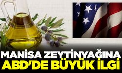 Manisa'nın zeytinyağı Amerika'da fırtına gibi esti