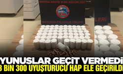 Manisa'da 3 bin 300 sentetik ecza ile yakalanan zanlı tutuklandı