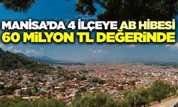 Manisa'ya 60 milyon TL'lik AB hilesi