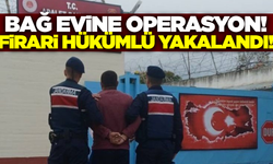 Manisa’da 51 yıl hapis cezasıyla aranan firari bağ evinde yakalandı!
