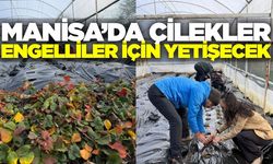 Manisa'da örnek proje: 'Sevgimizi Seramızda Büyütüyoruz'