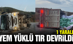Manisa'da virajı alamayan tır devrildi: 1 yaralı