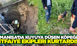 Manisa'da kuyuya düşen köpek için ekipler seferber oldu