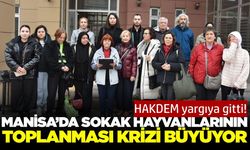 Manisa’da sokak hayvanları için hukuki mücadele başladı