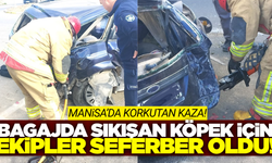 Manisa'da tır otomobille çarpıştı: Bagajda sıkışan köpeği itfaiye kurtardı