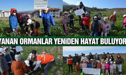 Manisa’da 100 bininci fidan toprakla buluştu