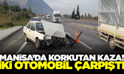 Manisa'da yola atlayan köpek kazaya neden oldu!