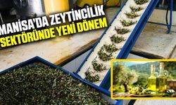 Manisa'da zeytin atık sularının geri dönüşümü için önemli adım