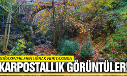 Manisalıların uğrak noktasında görsel şölen!