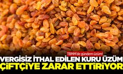 Mecliste kuru üzüm gündemi! Çiftçi perişan...